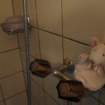 IMG_0100 IMG_0100