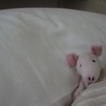 IMG_0101 IMG_0101