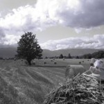 IMG_0109 IMG_0109