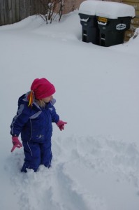 DSC_0053 DSC_0053