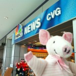 Piggie on layover in Cincinnati