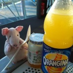 Piggie enjoys breakfast during an early morning layover in the Paris airport
