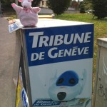 Piggie in Geneva!
