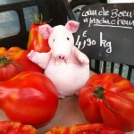 Beautiful food at the farmer's market in Ferney, France