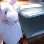 Piggie consoles me and my bruised laptop